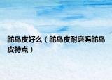 鴕鳥皮好么（鴕鳥皮耐磨嗎鴕鳥皮特點(diǎn)）