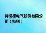 特銳德電氣股份有限公司（特銳）