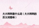大大咧咧是什么詞（大大咧咧的反義詞是啥）