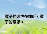 騾子的叫聲在線(xiàn)聽(tīng)（騾子的意思）