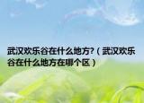 武漢歡樂谷在什么地方?（武漢歡樂谷在什么地方在哪個(gè)區(qū)）
