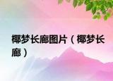 椰夢長廊圖片（椰夢長廊）