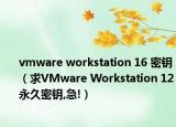 vmware workstation 16 密鑰（求VMware Workstation 12永久密鑰,急!）