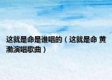這就是命是誰唱的（這就是命 黃渤演唱歌曲）