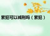累犯可以減刑嗎（累犯）