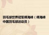 羽毛球世界冠軍傅海峰（傅海峰 中國羽毛球運(yùn)動(dòng)員）