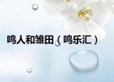 鳴人和雛田（鳴樂(lè)匯）