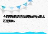 今日更新駱駝駝峰里儲(chǔ)存的是水還是脂肪