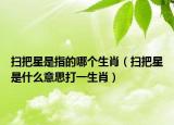 掃把星是指的哪個(gè)生肖（掃把星是什么意思打一生肖）