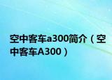空中客車a300簡(jiǎn)介（空中客車A300）