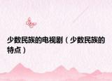 少數(shù)民族的電視?。ㄉ贁?shù)民族的特點）
