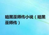 暗黑巫師傳小說(shuō)（暗黑巫師傳）