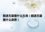 前途無(wú)量是什么生肖（前途無(wú)量是什么意思）