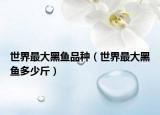 世界最大黑魚(yú)品種（世界最大黑魚(yú)多少斤）