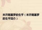 米開(kāi)朗基羅的生平（米開(kāi)朗基羅的生平簡(jiǎn)介）