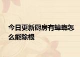 今日更新廚房有蟑螂怎么能除根