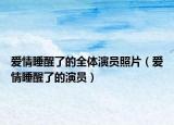 愛情睡醒了的全體演員照片（愛情睡醒了的演員）