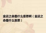 金運(yùn)之命是什么意思?。ń疬\(yùn)之命是什么意思）