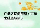 亡命之徒藍(lán)與灰（亡命之徒藍(lán)與灰）