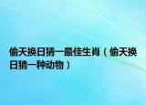偷天換日猜一最佳生肖（偷天換日猜一種動(dòng)物）