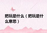把玩是什么（把玩是什么意思）