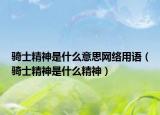 騎士精神是什么意思網(wǎng)絡用語（騎士精神是什么精神）