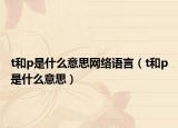 t和p是什么意思網(wǎng)絡(luò)語言（t和p是什么意思）