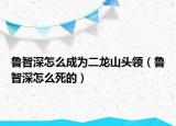 魯智深怎么成為二龍山頭領（魯智深怎么死的）