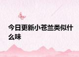 今日更新小蒼蘭類似什么味