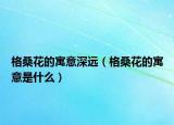 格?；ǖ脑⒁馍钸h(yuǎn)（格?；ǖ脑⒁馐鞘裁矗? /></span></a>
                        <h2><a href=