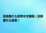 扭矩是什么意思中文解釋（扭矩是什么意思）