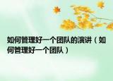 如何管理好一個(gè)團(tuán)隊(duì)的演講（如何管理好一個(gè)團(tuán)隊(duì)）