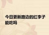 今日更新路邊的紅李子能吃嗎