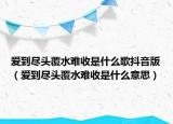 愛到盡頭覆水難收是什么歌抖音版（愛到盡頭覆水難收是什么意思）