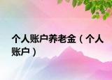 個人賬戶養(yǎng)老金（個人賬戶）