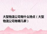 大型物流公司有什么特點(diǎn)（大型物流公司有哪幾家）