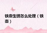 鐵壺生銹怎么處理（鐵壺）