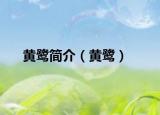 黃鷺簡(jiǎn)介（黃鷺）