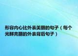 形容內心比外表美麗的句子（每個光鮮亮麗的外表背后句子）