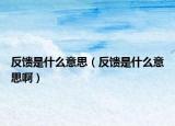 反饋是什么意思（反饋是什么意思啊）