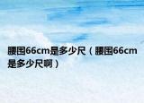 腰圍66cm是多少尺（腰圍66cm是多少尺啊）