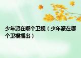 少年派在哪個衛(wèi)視（少年派在哪個衛(wèi)視播出）