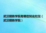 武漢鋼鐵學院有哪些知名校友（武漢鋼鐵學院）