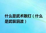 什么是武術(shù)散打（什么是武裝泅渡）