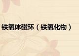 鐵氧體磁環(huán)（鐵氧化物）