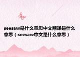 seesaw是什么意思中文翻譯是什么意思（seesaw中文是什么意思）