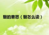 翳的意思（翳怎么讀）