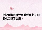 平沙鈺海國際什么時(shí)候開業(yè)（ps羽化工具怎么用）