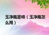 玉凈瓶是啥（玉凈瓶怎么用）