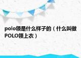 polo領(lǐng)是什么樣子的（什么叫做POLO領(lǐng)上衣）